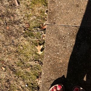 Meet your Posher, Maddie